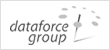 dataforce logo