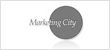 icon_marketingcity